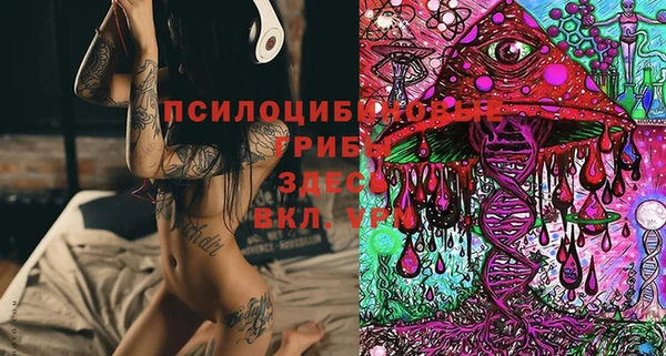 скорость Алексеевка