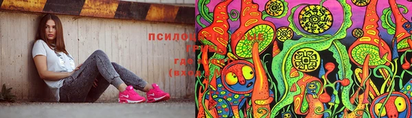 ECSTASY Алексин