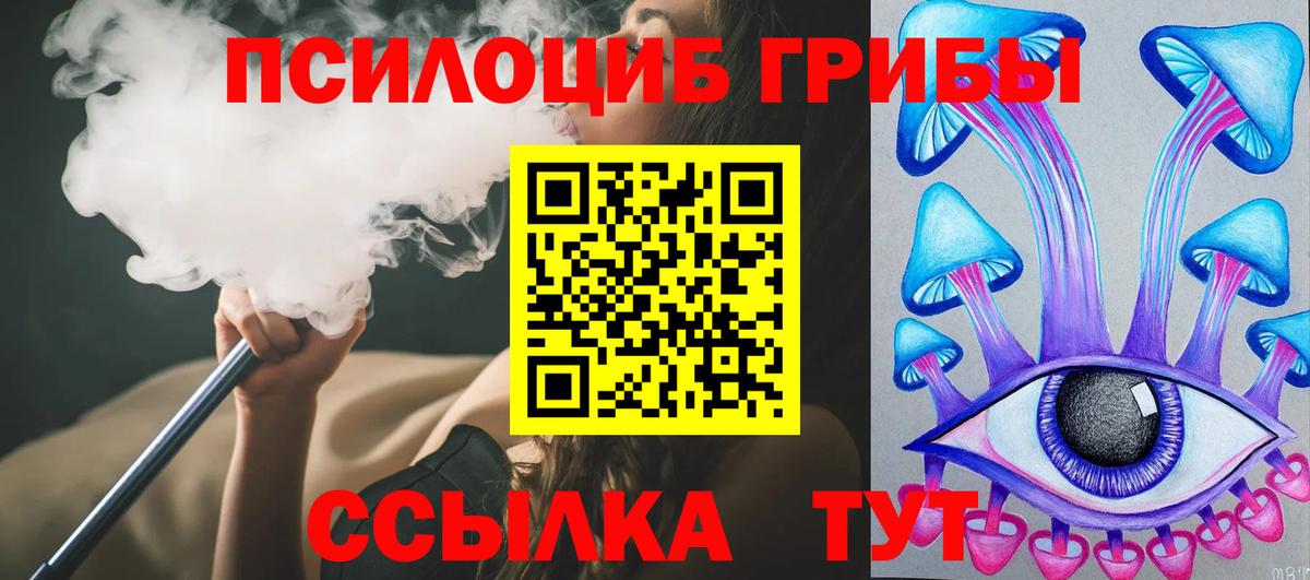Псилоцибиновые грибы MAGIC MUSHROOMS  где купить   Сунжа  Вход с VPN 