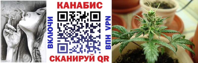 Канабис планчик  Сунжа 